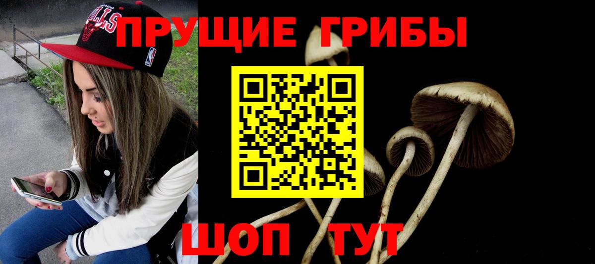 Псилоцибиновые грибы ЛСД Ростов-на-Дону