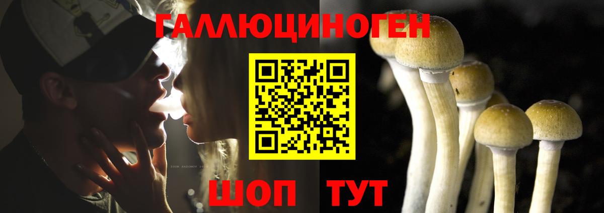 Псилоцибиновые грибы мицелий  Вход с VPN  Ростов-на-Дону 